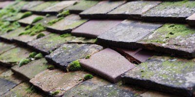 Stourport On Severn roof repair costs